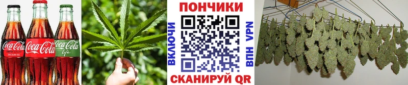 закладка  Шадринск  Еда ТГК конопля 