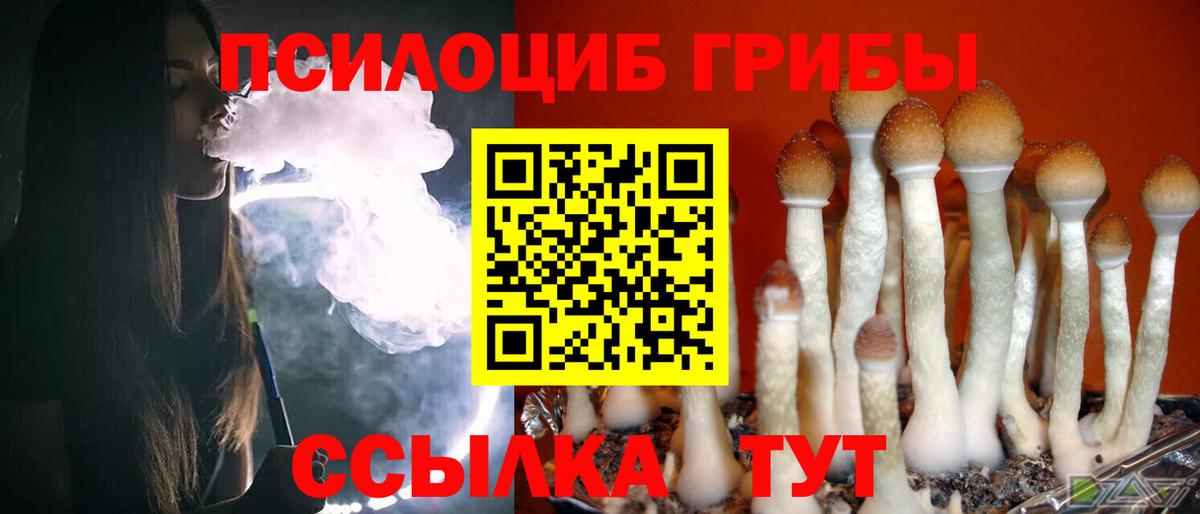 Галлюциногенные грибы GOLDEN TEACHER Шадринск